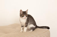 Белочка Веро - Красота! Характер! Личность!