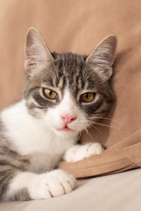 Белочка Веро - Красота! Характер! Личность!