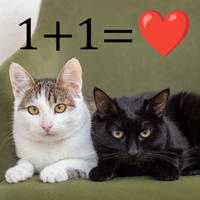 Арбузик полосатый