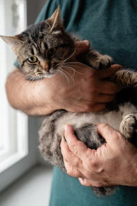 Мурчёна Глинки