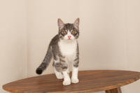 Белочка Веро - Красота! Характер! Личность!