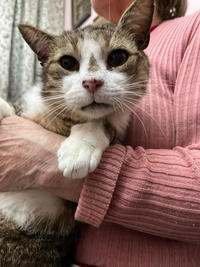 Темка Минчаков