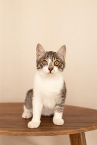 Булочка Веро - ласковая малышка