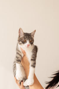 Белочка Веро - Красота! Характер! Личность!