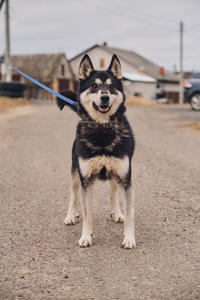 Кай Дружный