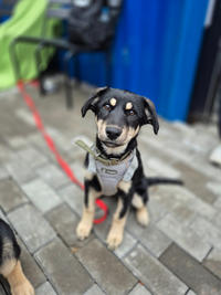 Луна Малышка