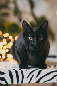 Дизель Вин - любитель целоваться!