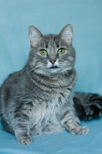 Эйна - зеленоглазая фея