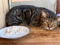 Ричард Бельский