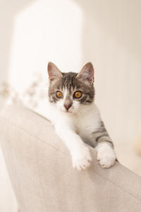 Булочка Веро - ласковая малышка