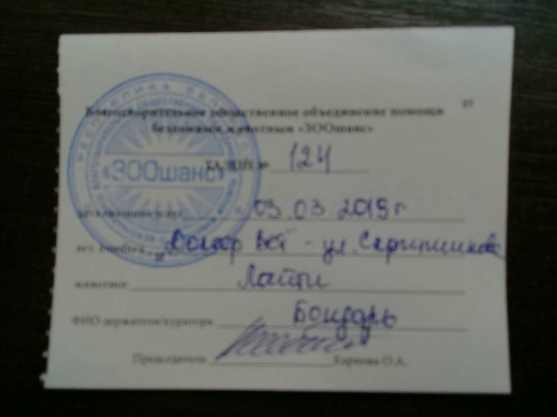 ДВ_124_Лайт_03.03.19.jpg