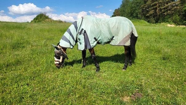 pnAA3jT9MHw-1.jpg