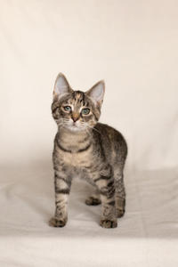 Клеопатра Вах - милая малышка с грустинкой