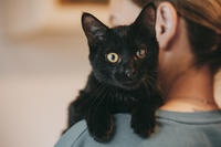 Дизель Вин - любитель целоваться!