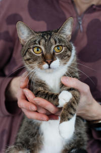 Михалина Татьяновна - кроткая малышка