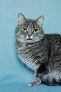 Эйна - зеленоглазая фея