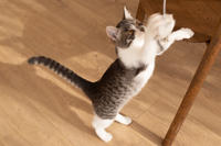 Булочка Веро - ласковая малышка