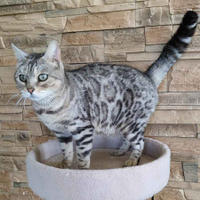     Герда Дружная