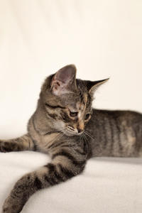 Клеопатра Вах - милая малышка с грустинкой