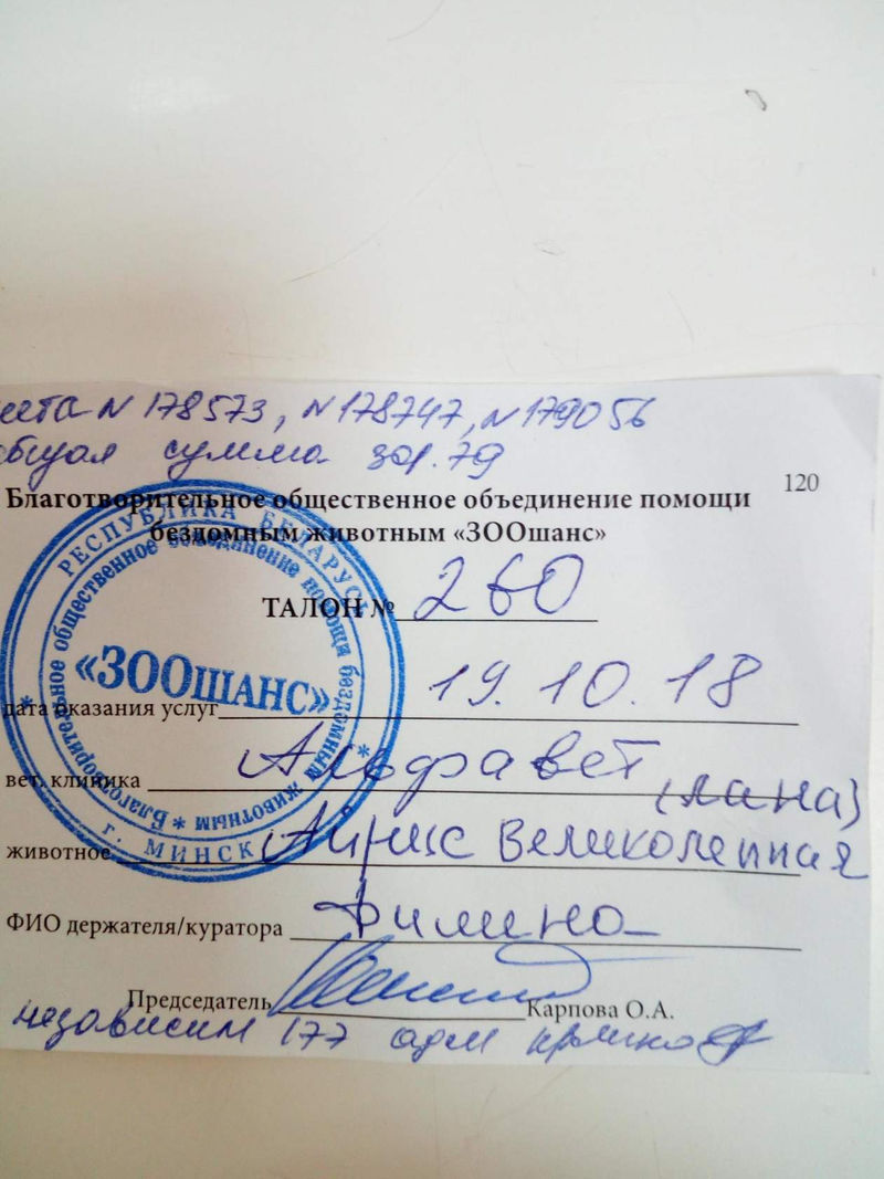 шч.jpg