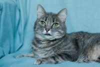 Эйна - зеленоглазая фея