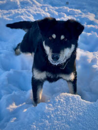 Луна Малышка