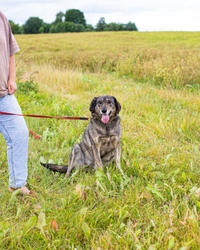 Найдуля Мамуля