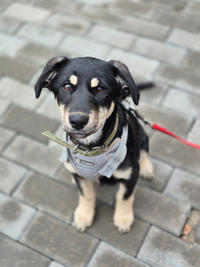 Луна Малышка