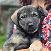 Рокси Малышка