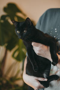 Дизель Вин - любитель целоваться!