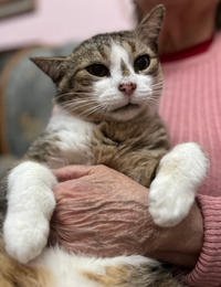 Темка Минчаков