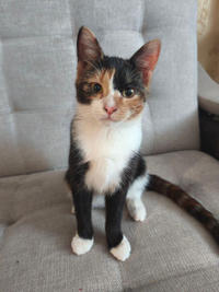 Сладкая Ириска - нежное ласковое дитя