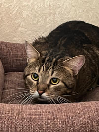 Ричард Бельский