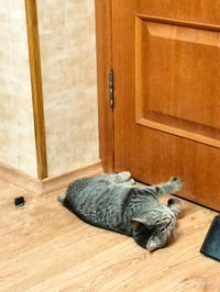 Мурчёна Глинки