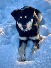 Луна Малышка