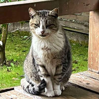 Темка Минчаков