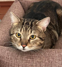 Ричард Бельский