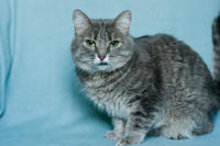 Эйна - зеленоглазая фея