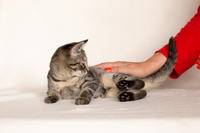 Клеопатра Вах - милая малышка с грустинкой