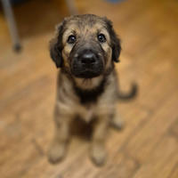     Бетти Малышка