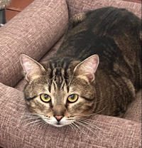 Ричард Бельский