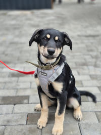 Луна Малышка