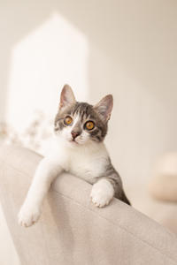 Булочка Веро - ласковая малышка