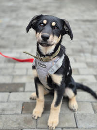 Луна Малышка