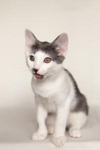 Кронос Вах - милый озорник