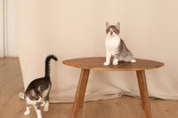 Булочка Веро - ласковая малышка