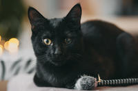 Дизель Вин - любитель целоваться!