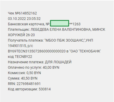 лошадям7.png