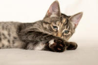 Клеопатра Вах - милая малышка с грустинкой