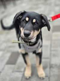 Луна Малышка